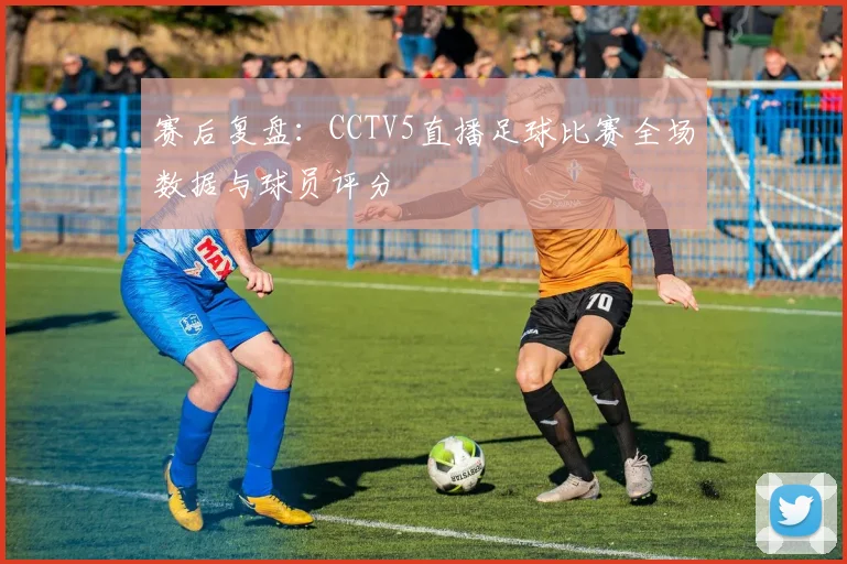 赛后复盘：CCTV5直播足球比赛全场数据与球员评分