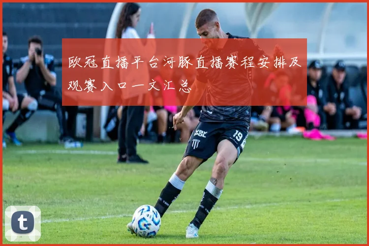 欧冠直播平台河豚直播赛程安排及观赛入口一文汇总